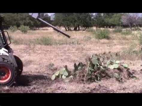 skid steer prickly pear|Removing Prickly Pear Cactus with Monster Cactus Forks.